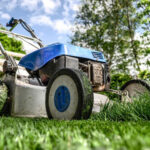 Garden maintenance in Torbay