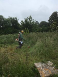 Garden Clearance in Torbay