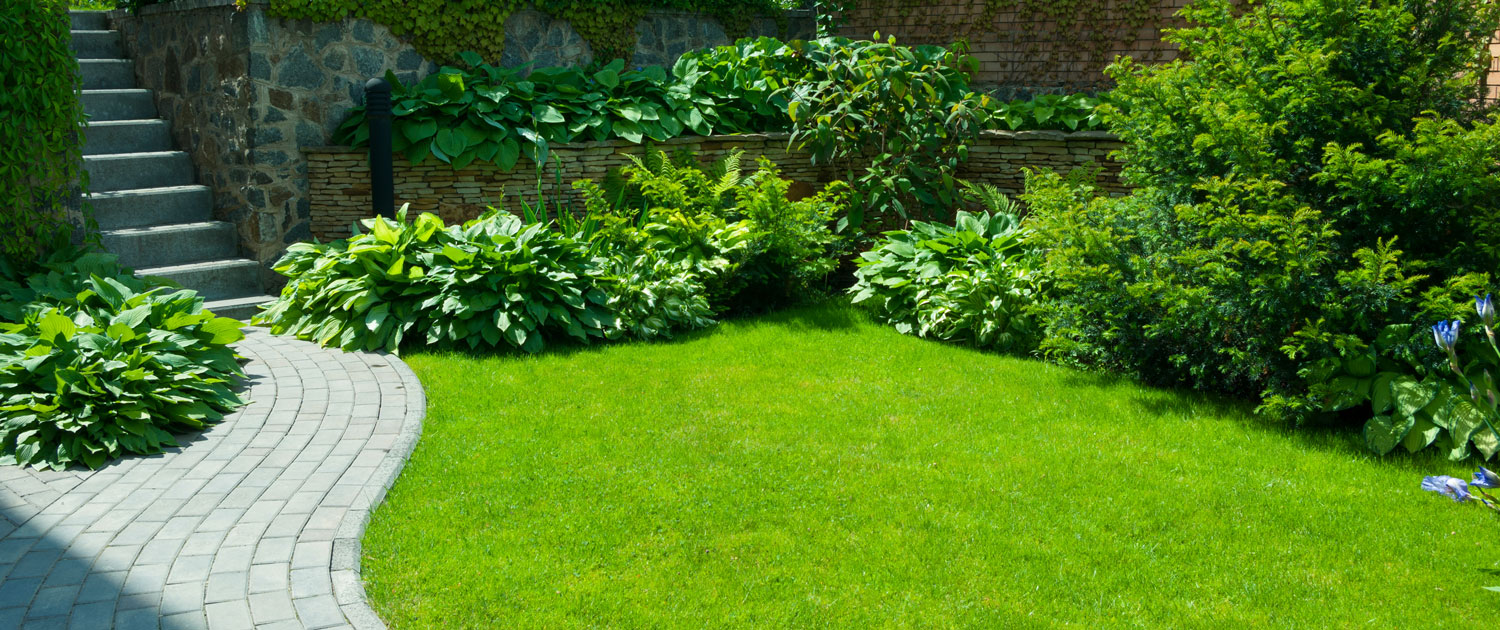 Turfing and lawn care in Torbay Turfing and lawn care in Torbay