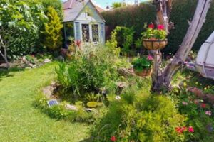 The Coastal Garden Company, Torbay and The South Hams
