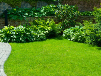 Turfing and lawn care in Torbay