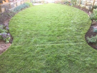 Turfing and lawn care in Torbat