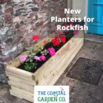 New planters for Rockfish