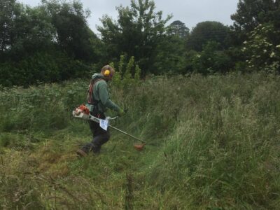 Garden Clearance in Torbay