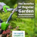 The Benefits of Regular Garden Maintenance by an Experienced Gardener