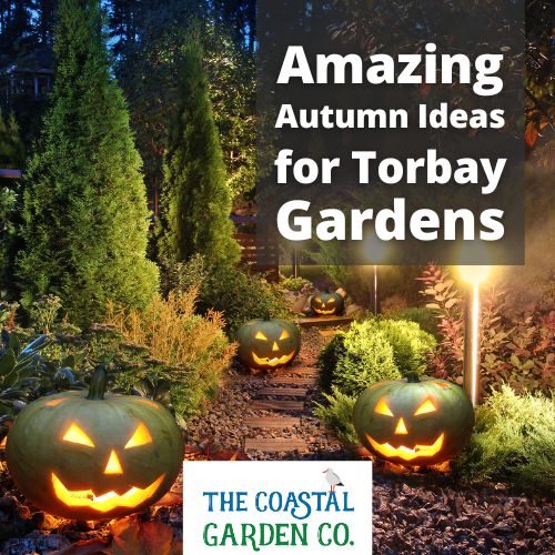 Amazing Autumn Ideas for Torbay Gardens