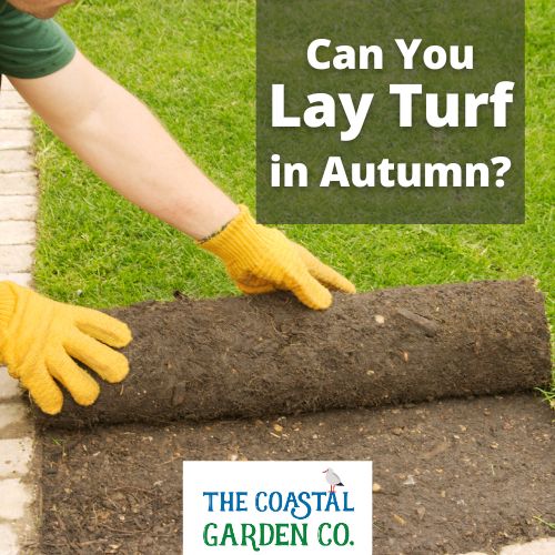 Can You Lay Turf in Autumn?