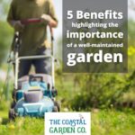 Top 5 Benefits of Regular Garden Maintenance by Professionals