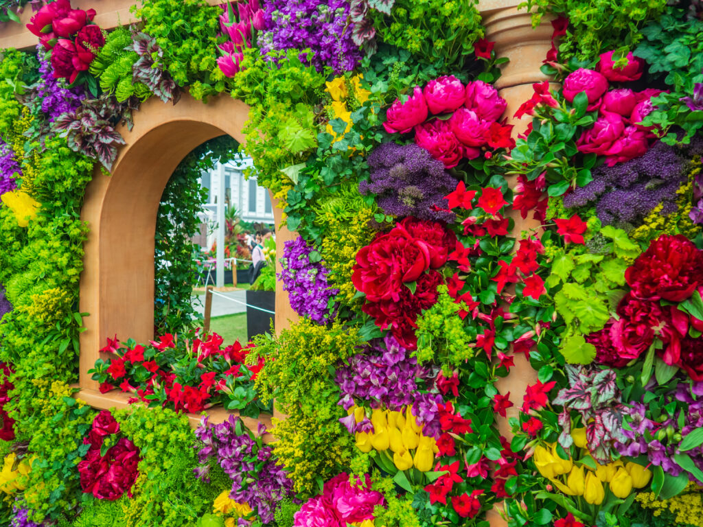 The enchanting world of the Chelsea Flower Show is a true gem in the horticultural calendar!