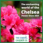 The Coastal Garden Company shares what you can expect at the 2025 Chelsea Flower Show and the best way to achieve your garden goals.
