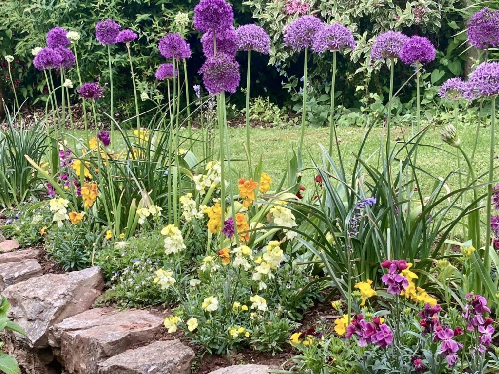 Planting | The Coastal Garden Company | Creating Stunning Gardens in Torbay Planting | The Coastal Garden Company | Creating Stunning Gardens in Torbay