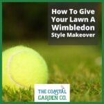 How To Give Your Lawn A Wimbledon Style Makeover