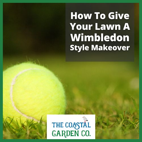How To Give Your Lawn A Wimbledon Style Makeover