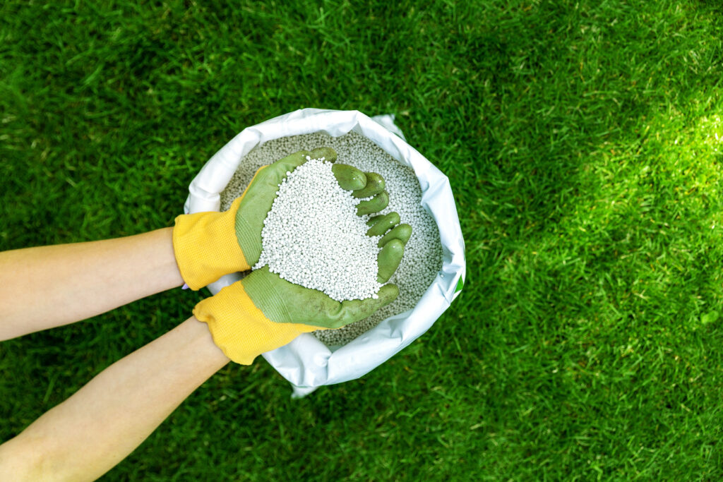 Use a balanced fertiliser appropriate for your grass type. A mix of nitrogen, phosphorus, and potassium will provide essential nutrients.