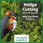 Why You Should Hire a Professional Gardener for Hedge Cutting After the Summer
