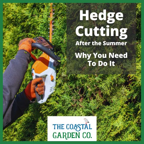 Why You Should Hire a Professional Gardener for Hedge Cutting After the Summer