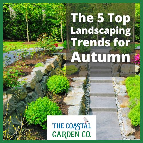 Discover the 5 top landscaping trends for Autumn 2025 in Torbay. From sustainable gardens to cosy outdoor living spaces, discover how to transform your garden this season.