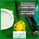 The Importance of Professional Lawncare After a Really Wet Winter | The Coastal Garden Company | Torbay Gardening & Landscaping