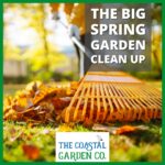 The Big Spring Garden Clean Up | The Coastal Garden Company | Torbay Gardening & Landscaping