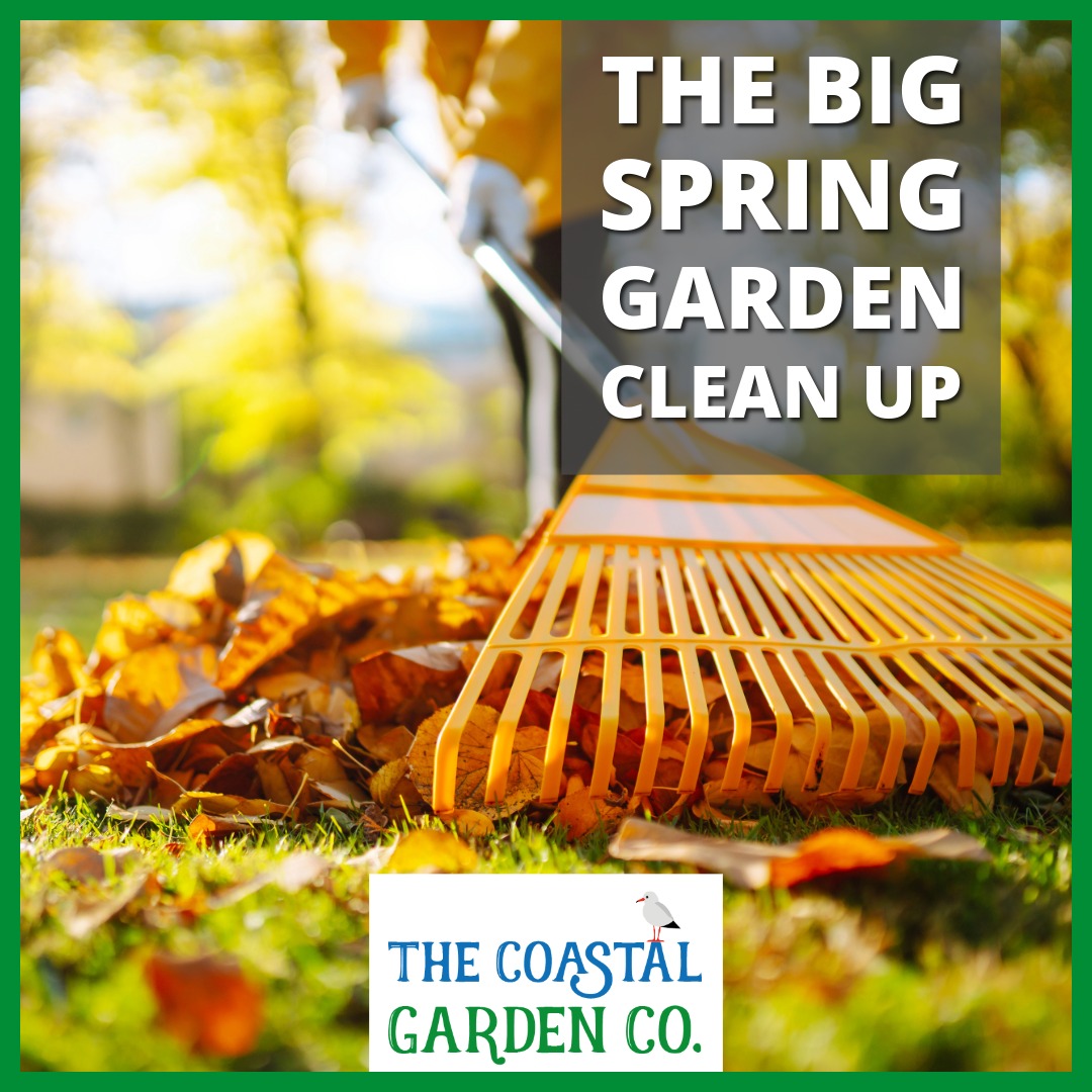 The Big Spring Garden Clean Up | The Coastal Garden Company | Torbay Gardening & Landscaping