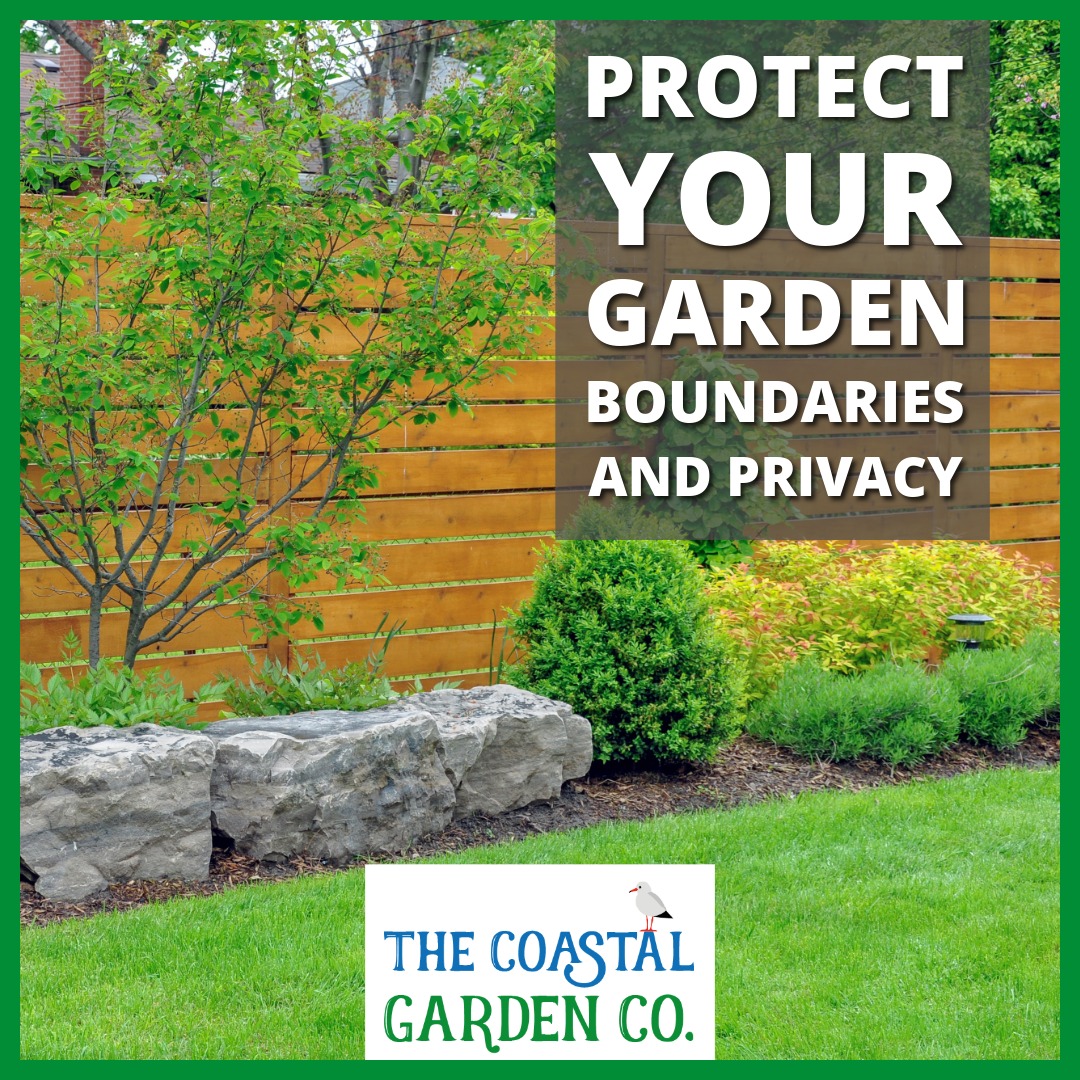 Protecting Your Garden Boundaries and Privacy with Wooden Fencing | The Coastal Garden Company | Torbay Gardening & Landscaping