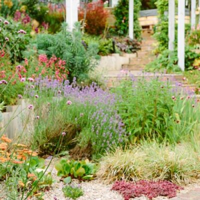 Whether you want a space to entertain guests, a safe play area for the kids, or simply a tranquil retreat to unwind, The Coastal Garden Company in Torbay offers bespoke garden solutions tailored to your needs.