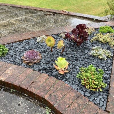 Gravelling & Planting | Gardener in Torbay Gardener in Torbay