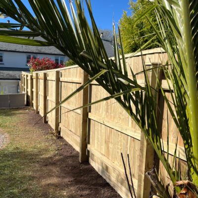 The Coastal Garden Company | Creating Stunning Gardens in Torbay