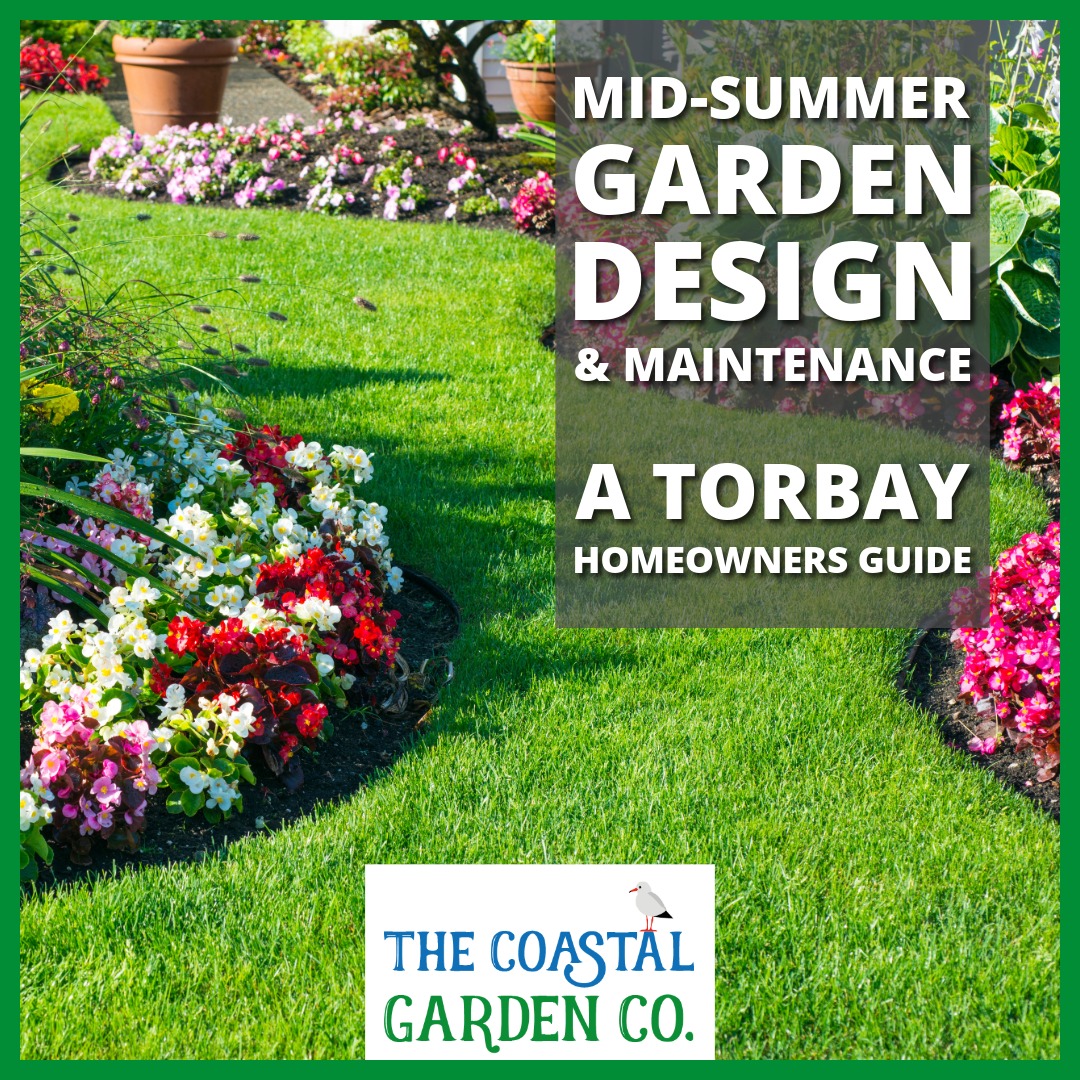 Mid-Summer Garden Design & Maintenance: A Torbay Homeowners Guide | The Coastal Garden Company | Torbay Gardening & Landscaping